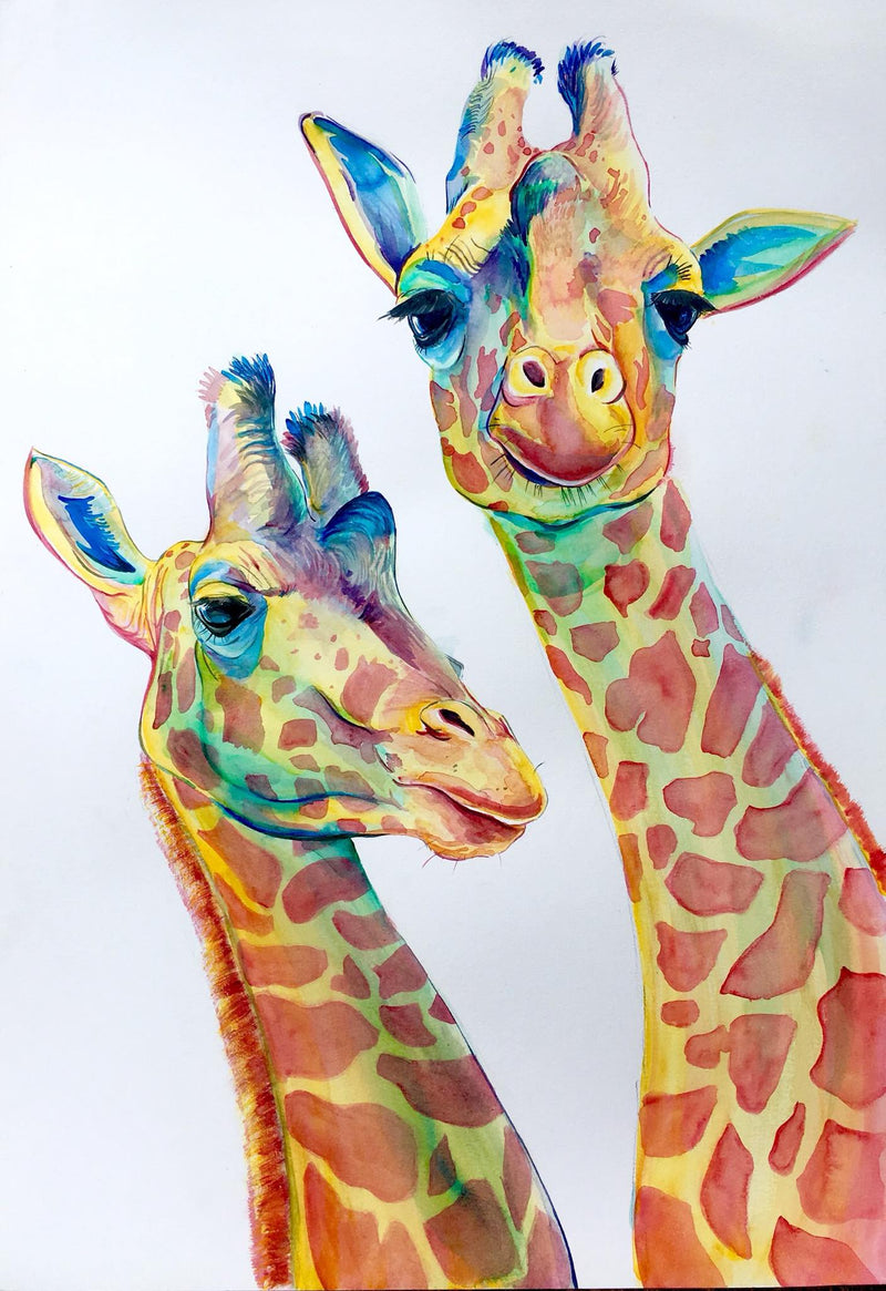 Colorful illustration of two giraffes on a white background